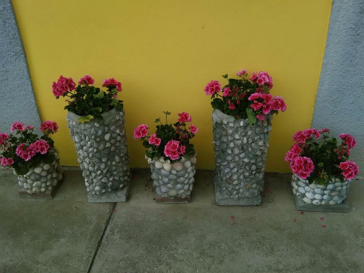 B&B Tisoi Belluno Kültér fotó